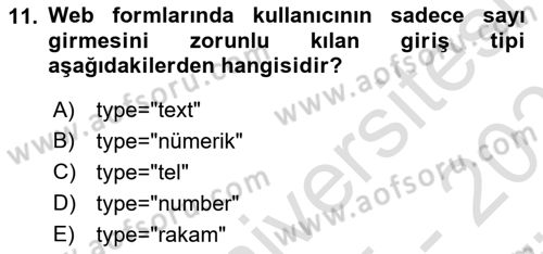 Programlamada Yeni Eğilimler Dersi 2025 - 2026 Yılı (Vize) Ara Sınav Soruları 11. Soru