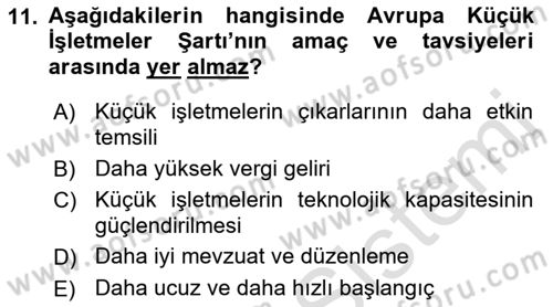 Yerel Ekonomik Kalkınma Dersi 2022 - 2023 Yılı Yaz Okulu Sınav Soruları 11. Soru