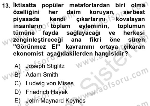 Yerel Ekonomik Kalkınma Dersi 2023 - 2024 Yılı (Vize) Ara Sınav Soruları 13. Soru