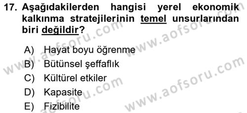 Yerel Ekonomik Kalkınma Dersi 2023 - 2024 Yılı (Vize) Ara Sınav Soruları 17. Soru