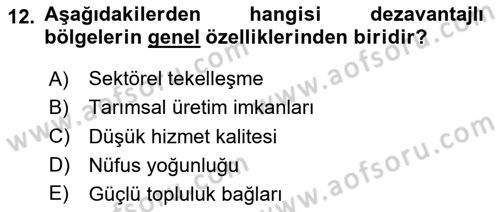 Yerel Ekonomik Kalkınma Dersi 2023 - 2024 Yılı Yaz Okulu Sınav Soruları 12. Soru