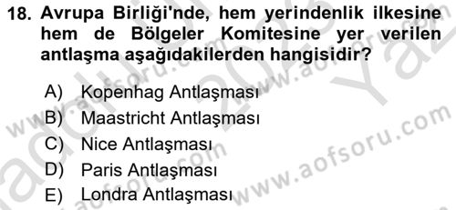 Yerel Yönetimler Dersi 2023 - 2024 Yılı Yaz Okulu Sınav Soruları 18. Soru