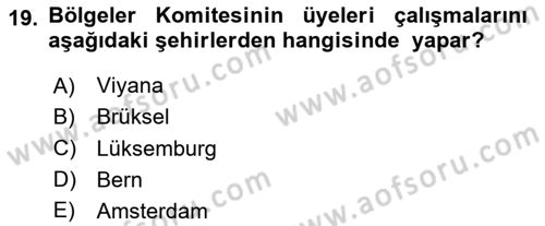 Yerel Yönetimler Dersi 2023 - 2024 Yılı Yaz Okulu Sınav Soruları 19. Soru